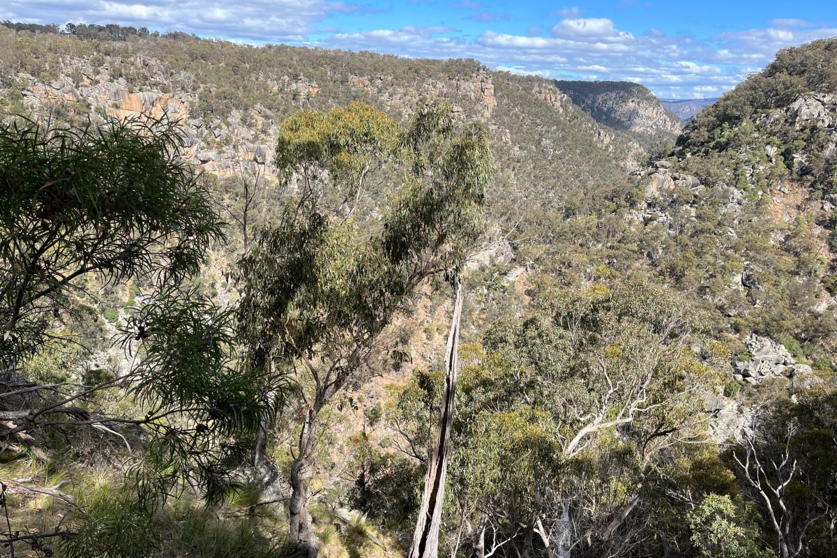 Blue Hole Armidale|澳洲阿米代爾清幽野餐秘境 - 第17張圖