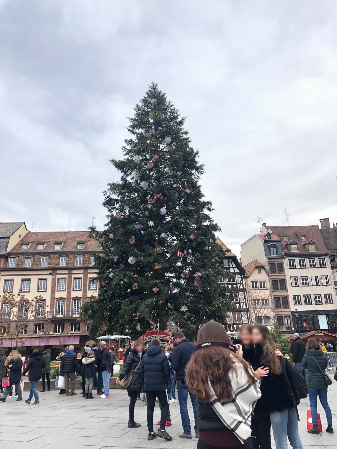 strasbourg christmas tree 1